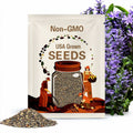 Organic Chicory Seeds, 300+ Seeds, Forage Chicory, Medicinal Herb Seeds, Heirloom, Flower Seeds, Non GMO, Plant, USA Grown