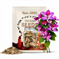 10 Bauhinia Purpurea Seeds | Purple Orchid Tree | Exotic Flowering Plant for Gardens