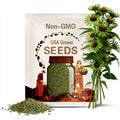 Coneflower Green twister flower seed 50