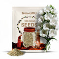 50pcs Angel Orchid (Habenaria Grandifloriformis) Flower Seeds (#9407 No Tracking#)