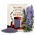 Blue Vervain (Verbena hastata) seeds