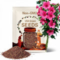 Rose Mallow Seed - Lavatera Trimestris Tanagra Flower Seeds - 1000 Seeds